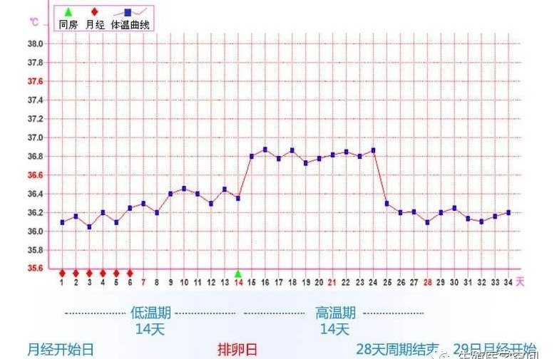 排卵期同房受孕的概率和秘密什么时候同房受孕几率最高