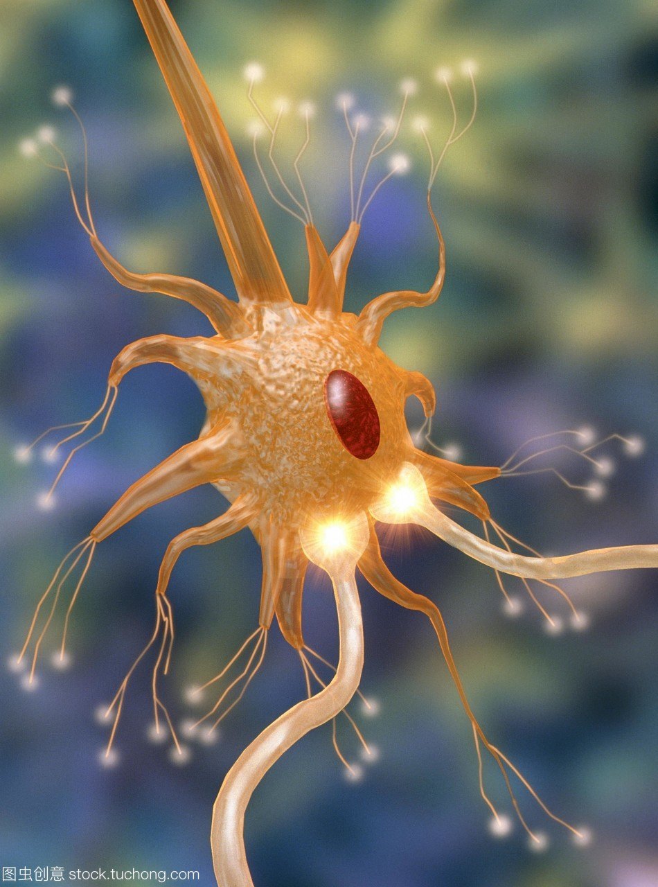 这就是一个神经细胞,周围的触角就是神经突触