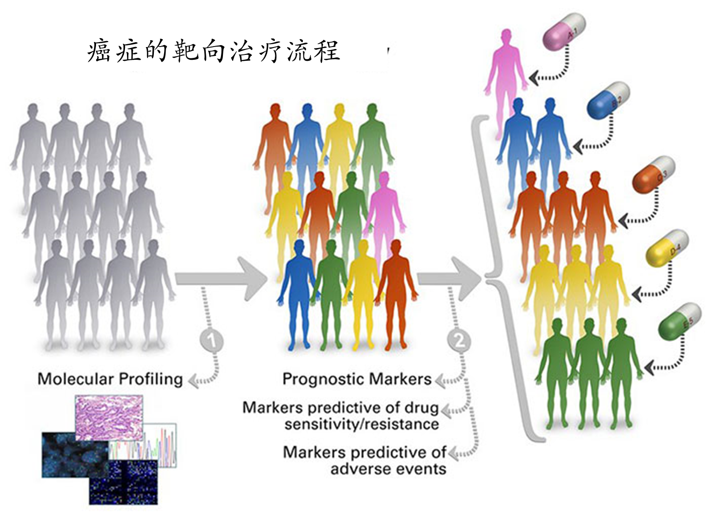 部分中晚期非小细胞肺癌患者的福音—靶向治疗