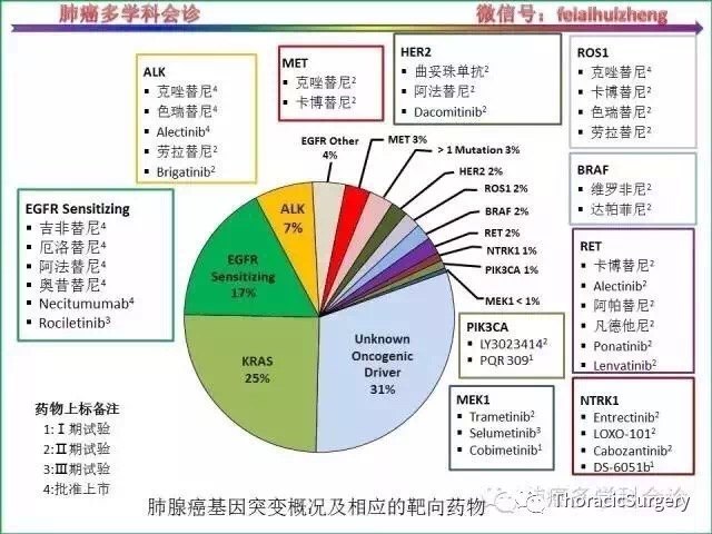 晚期非小细胞肺癌靶向治疗最新进展