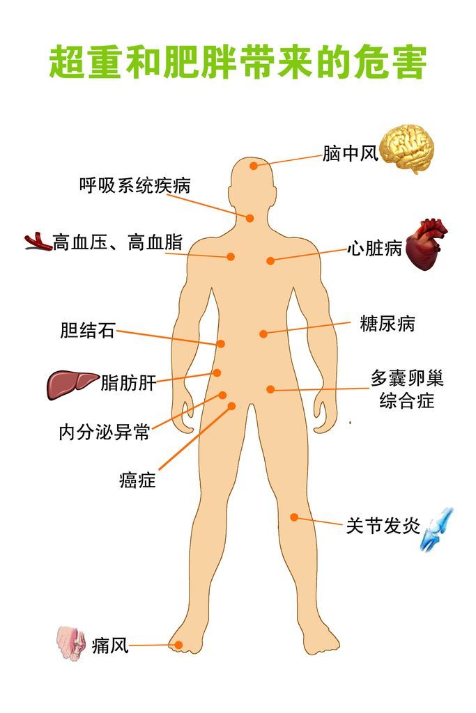 减重手术和节食减肥到底哪个好