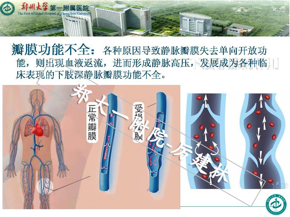 幻燈片10.JPG