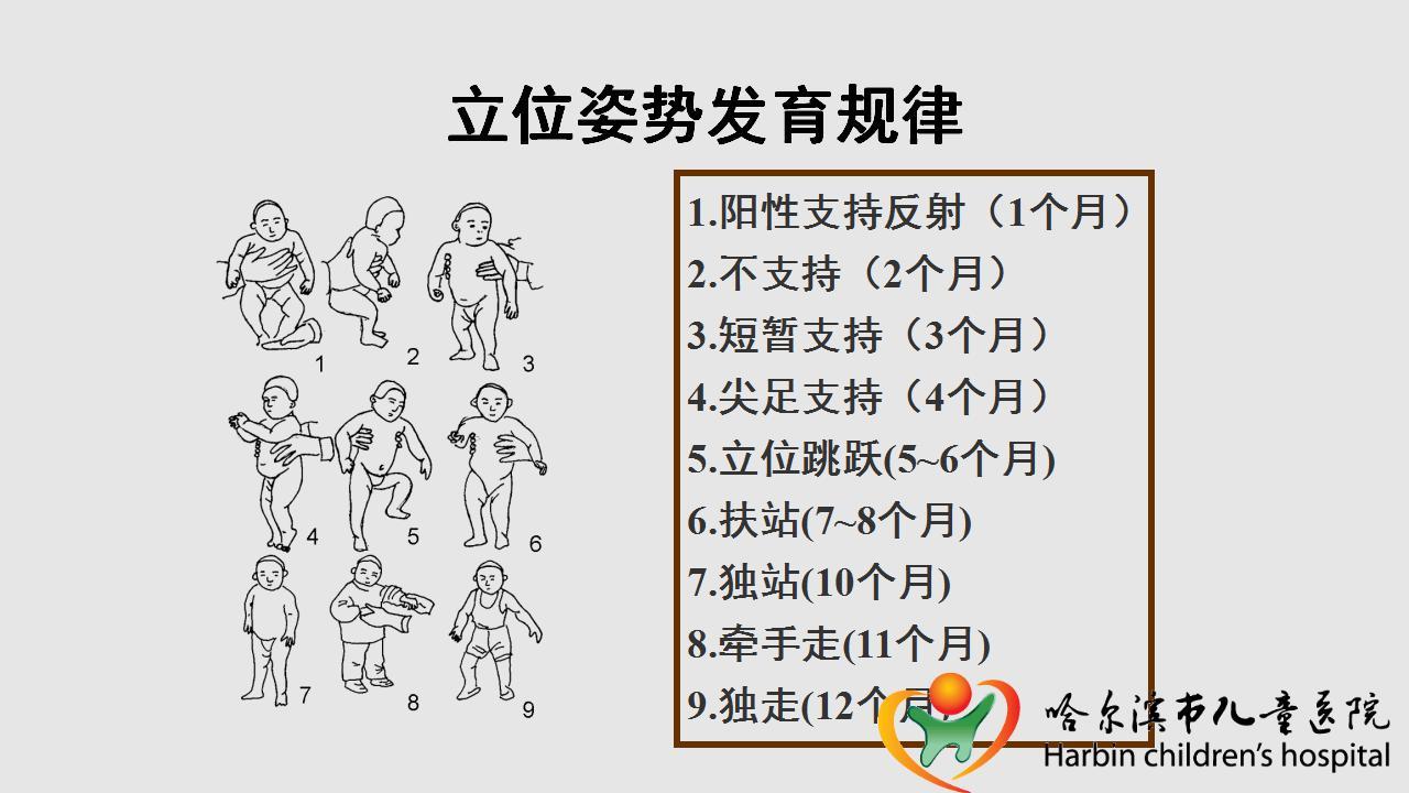 一岁以内仰卧位,俯卧位,坐位和立位姿势发育规律(附图