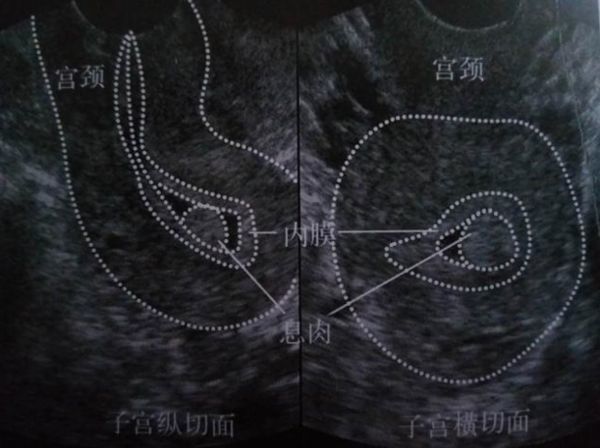 1515421639562649.jpg