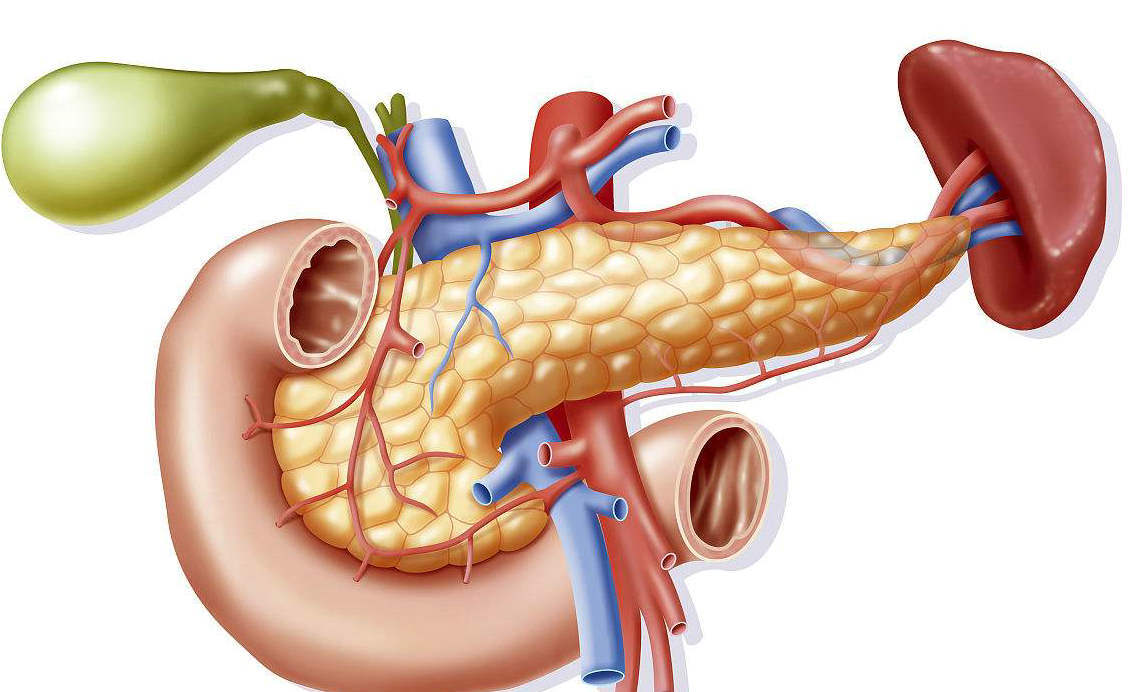 胰腺肿瘤经动脉灌注化疗术--精确打击肿瘤病