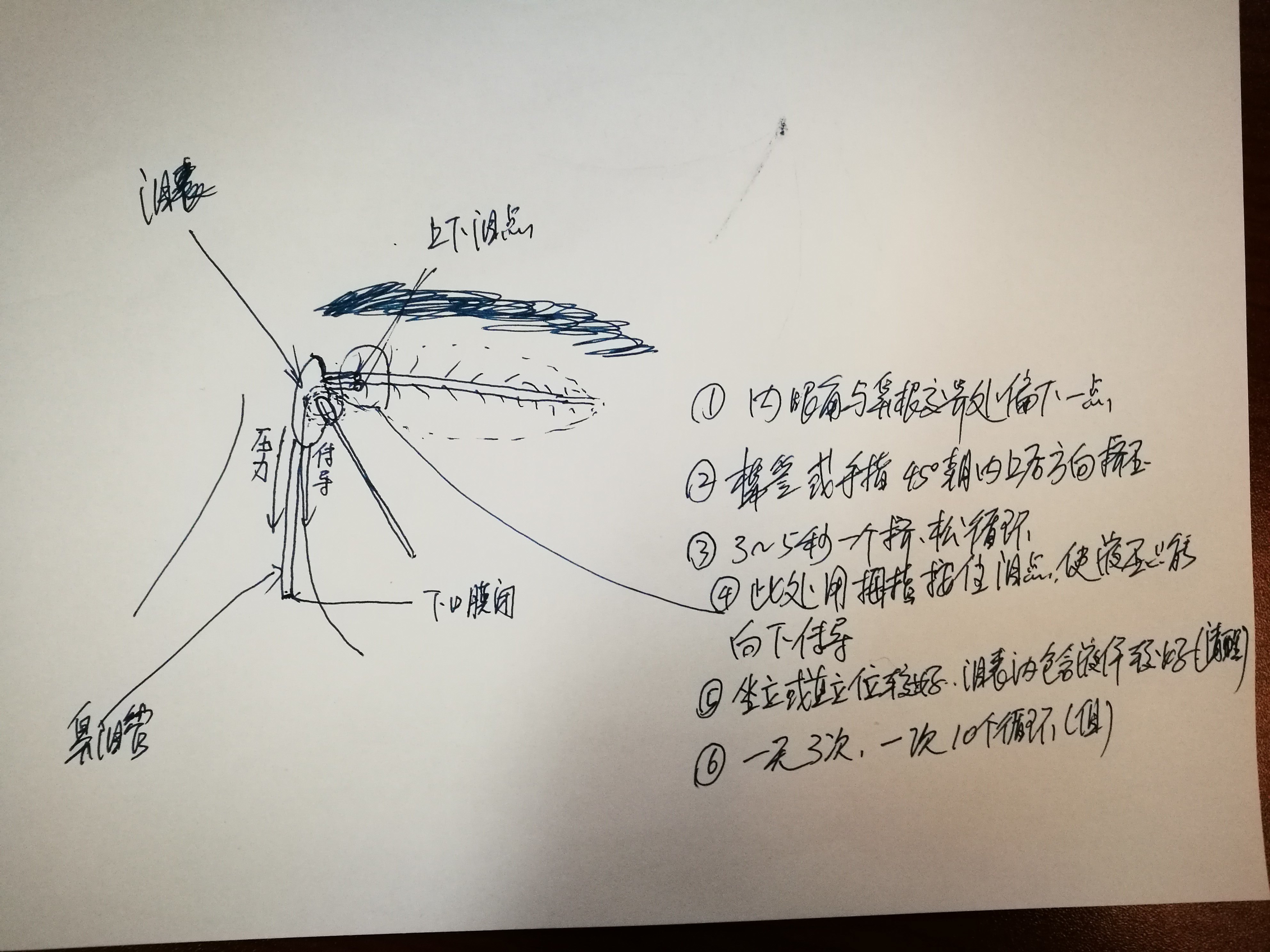 基本上是因为小儿鼻泪管下端开口(位于下鼻道穹隆部)被膜性阻塞,未能