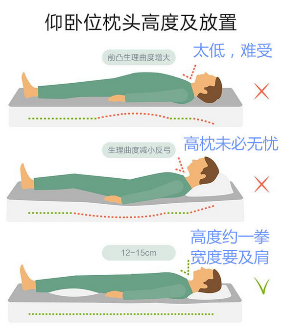 平躺时:枕头高度一般为一个人的拳头高度(约12-15cm,躺下时枕头要