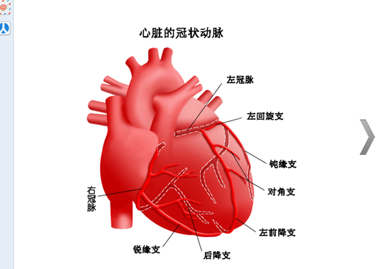 冠状动脉9.jpg