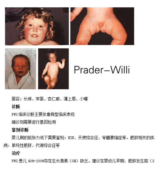 家有萌娃(李玉倩) 家有