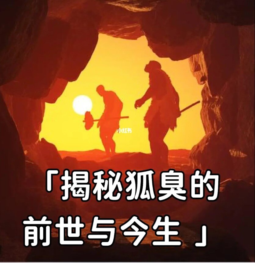 图文图片