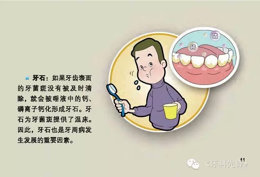 牙周病科普小画册(转载)