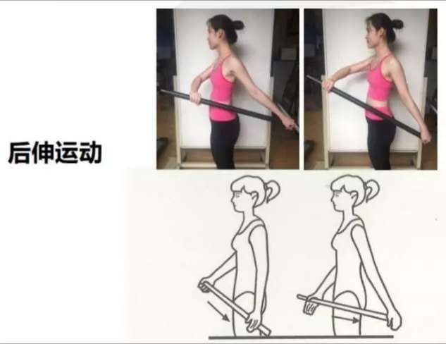 弯腰,肩关节旋转,热身运动