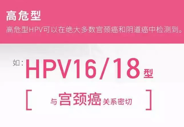 hpv到底是个什么鬼?感染hpv就会得宫颈癌吗?中国宫颈