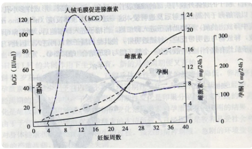 升高的激素刺激黑色素细胞的活性增加.