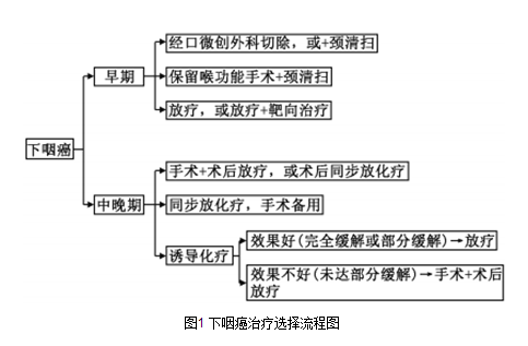 下咽癌外科手术及综合治疗–2017