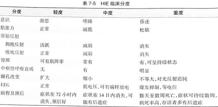 新生儿缺氧缺血性脑病