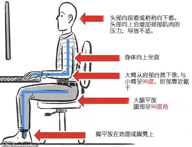▍前倾坐姿  适用于长期伏案工作的人,如绘图,写作等.