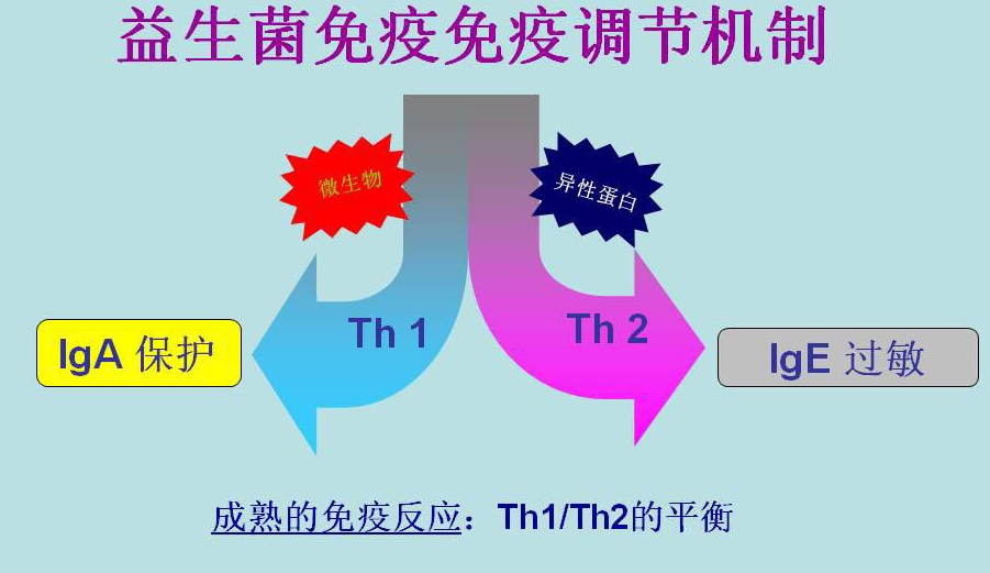 儿童过敏相关疾病的诊疗和管理之过敏基础知识和过敏反应原理