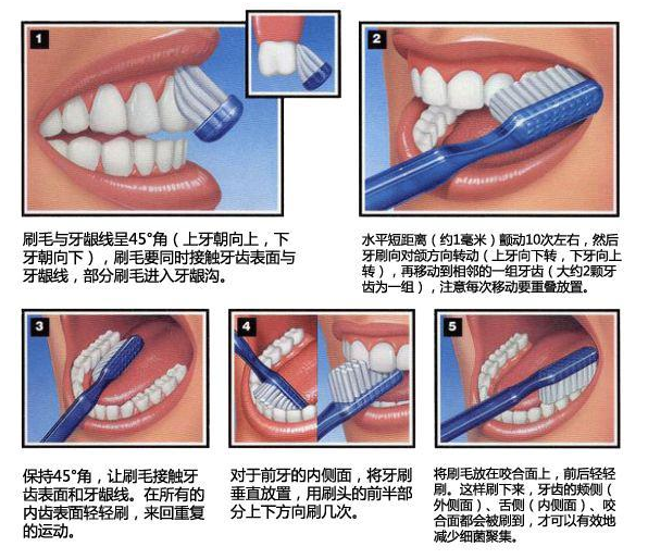 5,正确刷牙方式法:下面附上一张正确刷牙方式的流程图