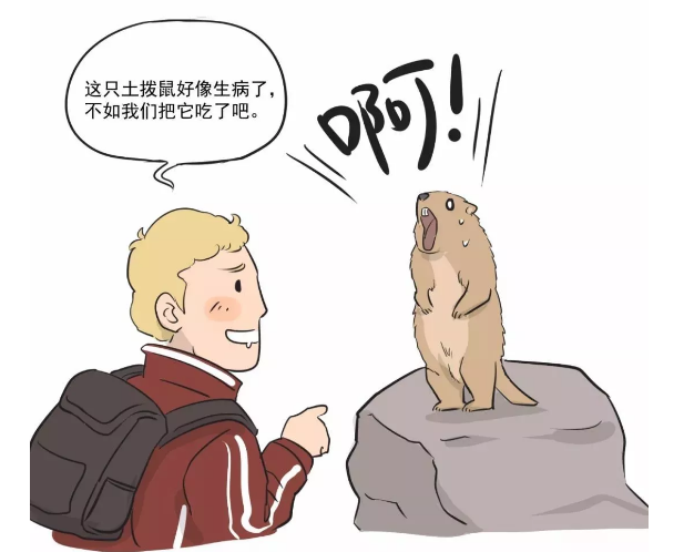 如何预防?_鼠疫 - 好大夫在线