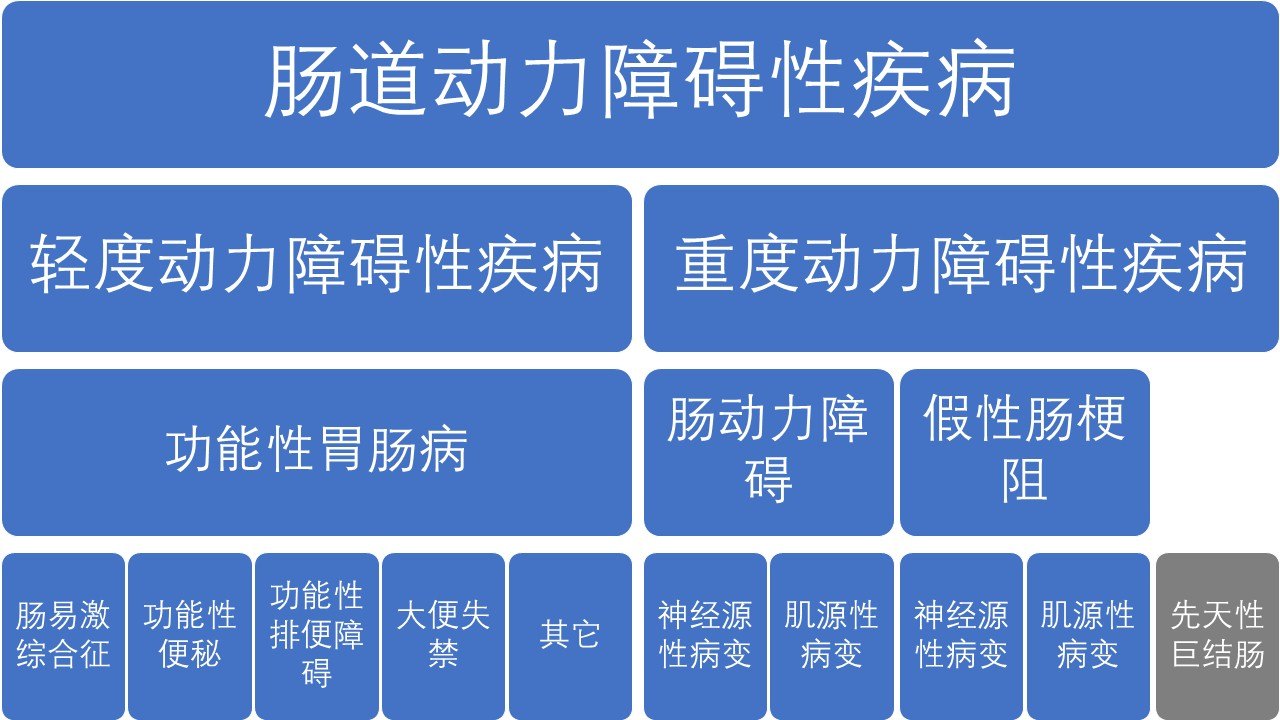 胃肠道动力障碍性疾病基础问答