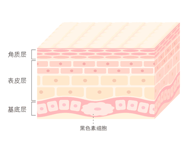 秋冬护肤这点没做好,小心色斑变本加厉!