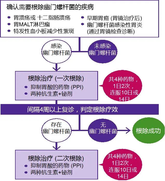 目前推荐的是四联疗法,同时口服四种药物,疗程10-14天,根治率可达90%