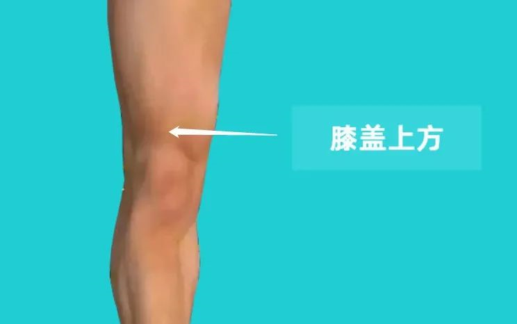 一般表现:屈伸膝关节时疼痛,往往伴有髌骨上方压痛.