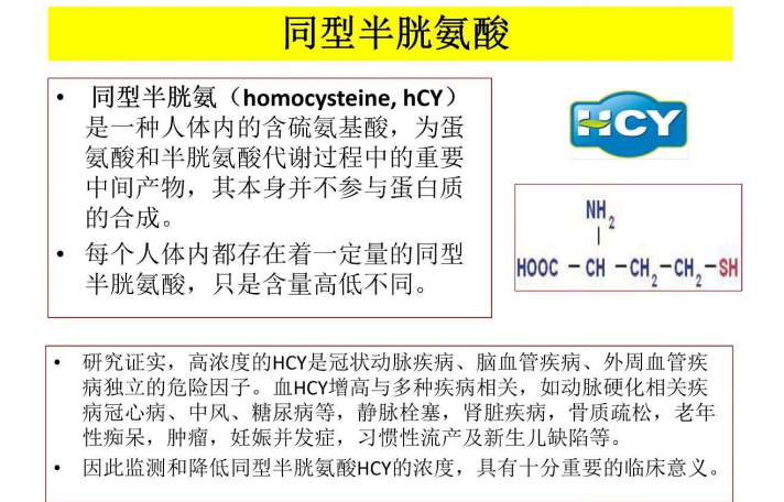 备孕期及孕期高同型半胱氨酸如何治疗