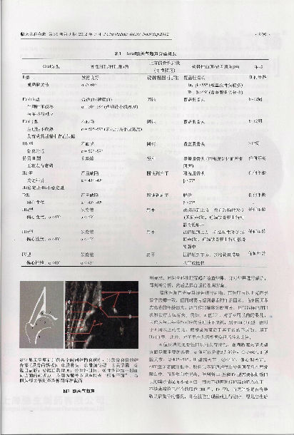 赵 黎 刘坚林 沈品泉上海交通大学医学院附属新华医院儿童骨科