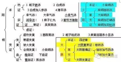 六经辩证是中医辨证的灵魂各种辩证体系的联系