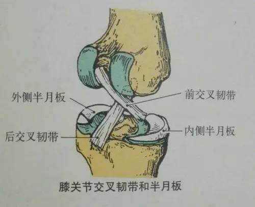 膝关节镜下简易线缆治疗前交叉韧带损伤 ——微创中的