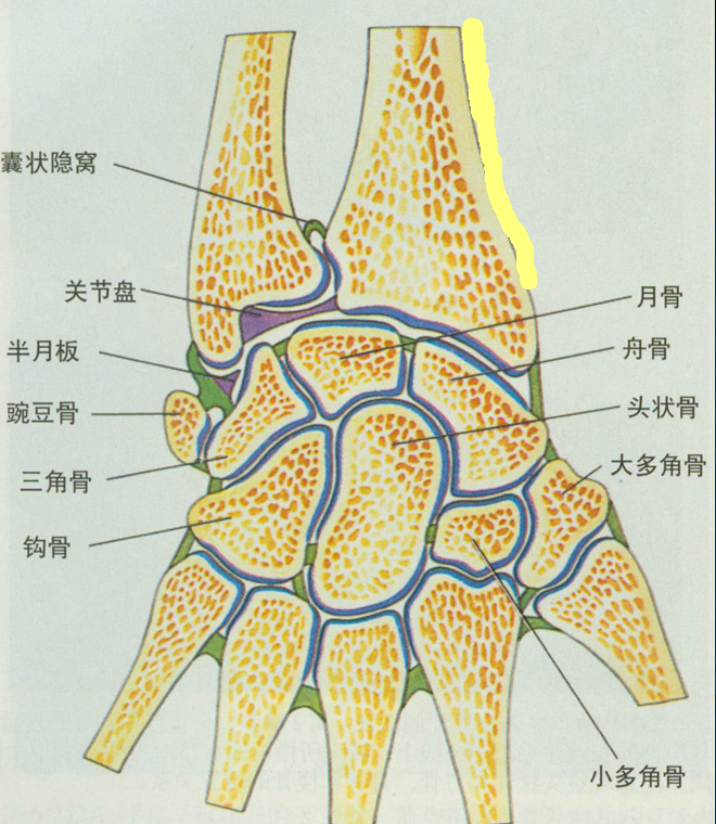 三角软骨盘损伤