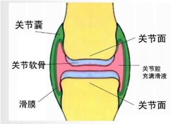 玻璃酸钠注射液≠封闭