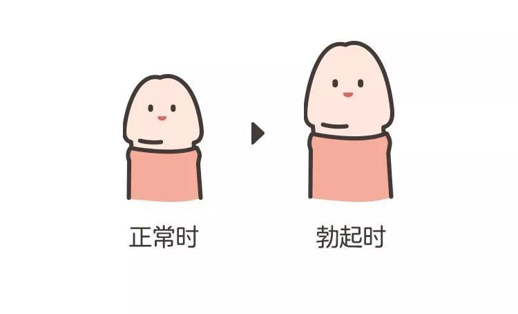 家有小男孩的家长必须了解的几个小秘密_隐睾 - 好