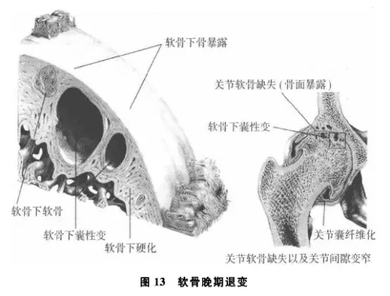 暂无