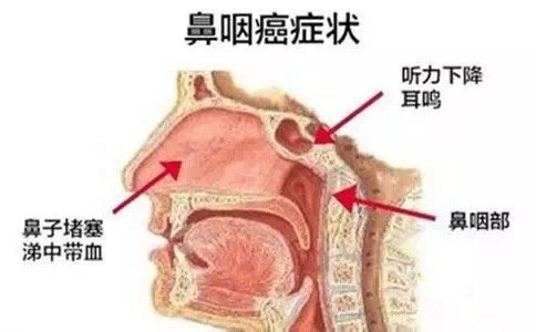 暂无