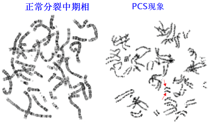 wYYBAFxOsa2ALI8CAAL1-FaWpE4815.png?_ms_=05bc