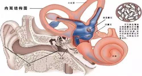 啥是耳石症 x4YBAF2pPVKAMBNeAACnNdT-BPc295.jpg?_ms_=a2dc