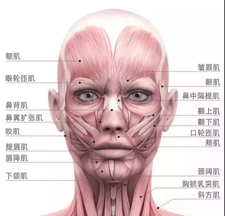 什么人适合注射肉毒素? - 好大夫在线
