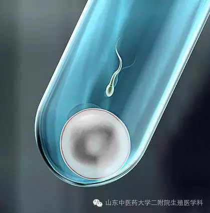 暂无