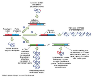 brca1/2基因突变检测与乳腺癌风险预测 - 好大夫在线