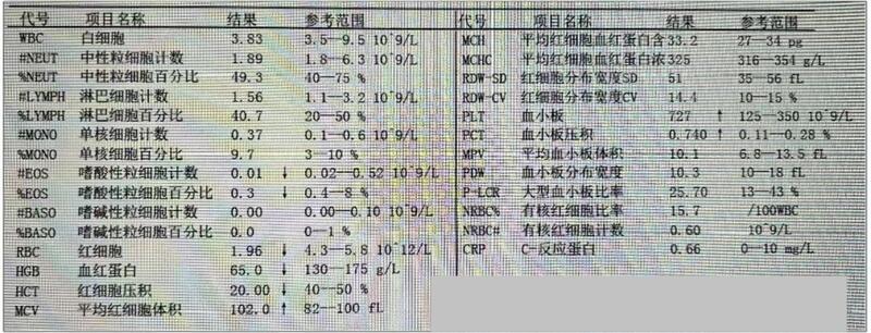 圖文圖片