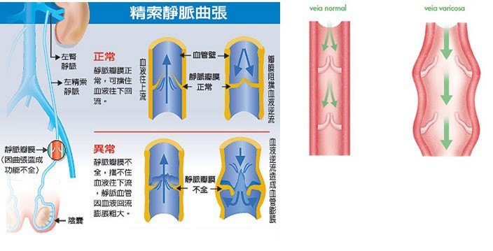 1590504485416785.jpg 图片1.jpg