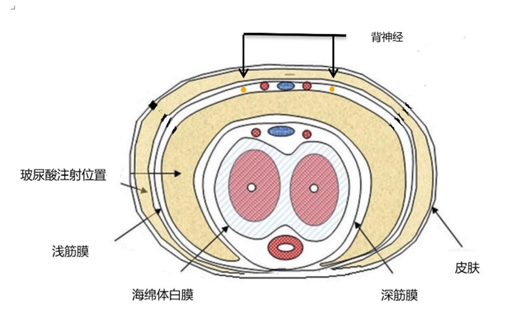 QQ图片20200531204746.png