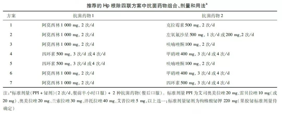 胃铋镁成分图片