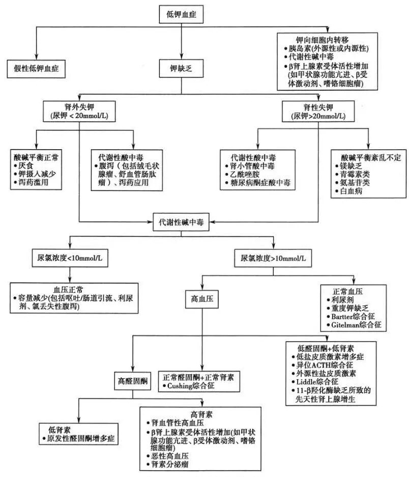 临床补钾怎么补,如何补