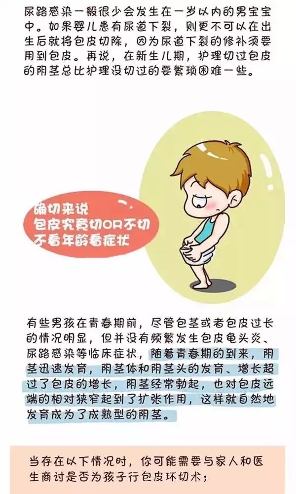 漫画告诉你包皮切or不切