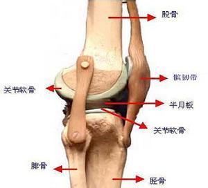 膝关节软骨损伤怎么办