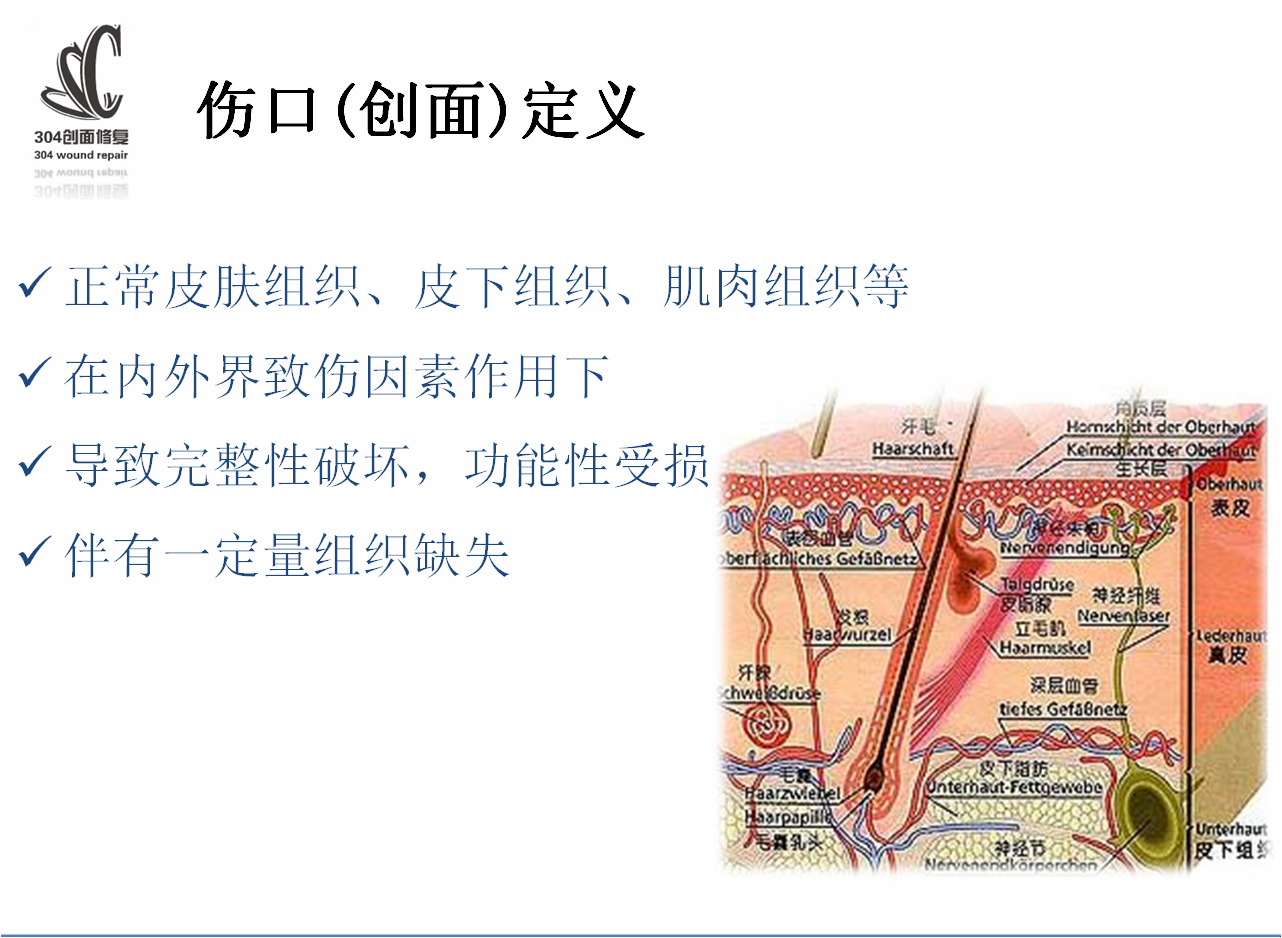 创面示意图图片